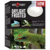 Repti Planet Žárovka Daylight Frosted 50 W