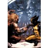 Wolverine: The Death and Life of Sabretooth