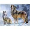 Norimpex Diamantové maľovanie Vlčie volanie 30 x 40 cm
