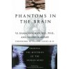 Phantoms in the Brain