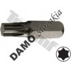 TRIUMF Bit Torx nevŕtaný, 8 mm (5/16