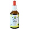 Salvia Paradise Pampeliška lékařská AF tinktura 50 ml