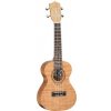 Tanglewood TWT6
