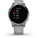 vivoactive 4s cena