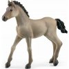 Schleich 13949 Zvieratko – žriebä Criollo Definitivo 4059433486673