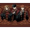 zuty Zuty - Maľovanie Podľa Čísel - Harry Potter, Ron A Hermiona V Chrabromilskom Hábite, 40X50 Cm, Plátno+R (8596530239772)