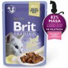 BRIT cat FILLETS želé hovädzie 24 x 85 g