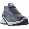 Salomon Supercross 4 GTX M L47462300 grisaille white carbon