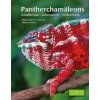 Pantherchamäleons (Philip-Sebastian Gehring,Thomas Althaus)(Brožovaná)