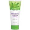 Herbalife Herbal Aloe krém na ruky a tělo 200 ml