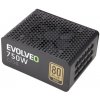 EVOLVEO G750/750W/ATX/80PLUS Gold/Modular E-G750R