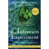 Intention Experiment