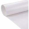 TGstudio Profesionálne PVC fotopozadie 60x130cm - biele