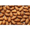 Pekanové orechy 1kg