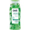 Dixi šampón brezovy 400 ml