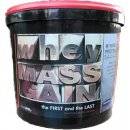 Megabol Whey Mass Gain 3000 g