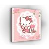 Obraz na plátne štvorec - OB2134 - Hello Kitty 80cm x 80cm - O2