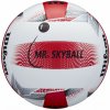 Wilson Mr Skyball VB Official