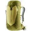 Deuter AC Lite 16 linden-cactus Zelená batoh