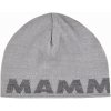 Mammut Logo Beanie platinum-alloy