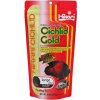HIKARI Cichlid Gold Large 250 G