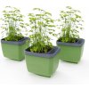 Gusta Garden HERBS BUDDY samozavlažovací kvetináč zelený, 3ks v balení GG-122F11