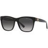 Ralph Lauren RL8212 50018G
