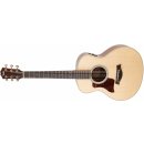 Taylor GS Mini-e