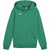 Puma | teamGOAL Casuals Hoodie Kids | zelená| 152