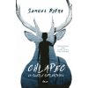 Chlapec vo svetle reflektorov - Samuel Bjork