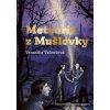Meteorit z Mušlovky - Veronika Valentová