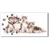 Vodorovné Sklenené hodiny na stenu Šteňa Husky 60x30 cm