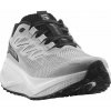 Salomon Aero Blaze 3 Grvl M L47971600 - lunar rock/white/black 42 2/3
