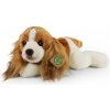 Rappa Plyšový pes kokeršpaniel ležiaci 30 cm