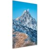 Vertikálny foto obraz sklenený Giewont Tatry 50x100 cm
