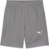 Puma teamFINAL Training shorts 658566-13