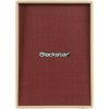 Blackstar DEBUT-212V