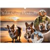 Welsh Corgi Pembroke (Wall Calendar 2026 DIN A3 landscape), CALVENDO 12 Month Wall Calendar
