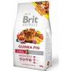 Brit Animals Guinea Pig Complete 300g