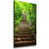Vertikálny foto obraz na plátne Schody do lesa 50x100 cm