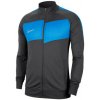 Nike Academy Pro Jr BV6948-069 sweatshirt (57543) White/Silver 122 cm