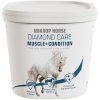 Doplnkové krmivo pre kone na podporu osvalenia chrbtovej línie Mikrop Muscle+Condition