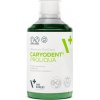 VetExpert Caryodent proliqua 250 ml