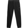 Pánske nohavice 4F, MEN´S TROUSERS čierna XXL