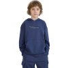 Chlapčenská mikina s kapucňou 4F JUNIOR-SWEATSHIRT-JWSS25TSWSM1511-22S-GREY Šedá 122 2025