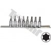 TRIUMF Sada torx nadstavcov v 1/4