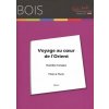 Voyage au Coeur de l'Orient by K. Tanaka / priečna flauta + klavír