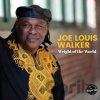 Joe Louis Walker: Weight Of The World (Green) LP - Joe Louis Walker