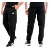 adidas Entrada 22 M HC0332 Pants black