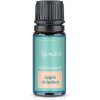 Esenciálny olej Alojzia Venoc 10 ml